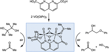 Graphical abstract: Cooperative enhancement of redox catalysis in divanadium complexes binucleated by 1,8-naphthyridine-2,7-dicarboxylate