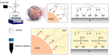 Graphical abstract: Green solvent-based separation and regeneration of layered ternary cathode materials for sustainable lithium-ion battery recycling