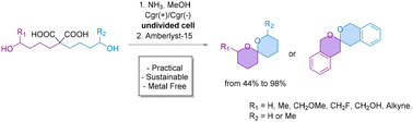 Graphical abstract: eSpiro: A scalable and sustainable electrosynthetic route to spiroketals via anodic oxidation of malonic acids