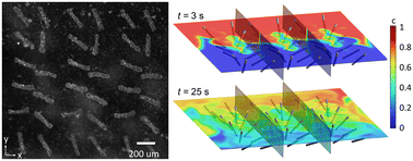 Graphical abstract: Designing enhanced mixing in stagnant microfluidic environments: an artificial cilia approach