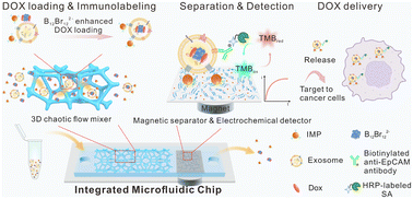 Graphical abstract: An integrated microfluidic chip for synchronous drug loading, separation and detection of plasma exosomes