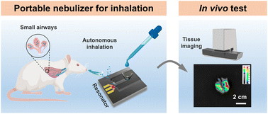 Graphical abstract: High frequency capillary wave-enabled ultra-small droplets for inhaled drug delivery