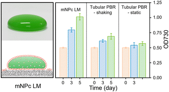 Graphical abstract: Sol–gel coating-derived liquid marbles as highly efficient micro-photobioreactors for cyanobacterial cultivation