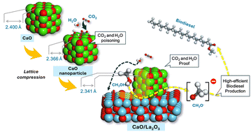 Graphical abstract: Chemical simulation of high-performance CaO/La2O3 catalysts and their CO2/H2O resistance during biodiesel production