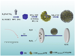 Graphical abstract: A novel electrochemical sensor with COFTZT-DVA/CNT@PB nanoflowers for hydrogen peroxide detection