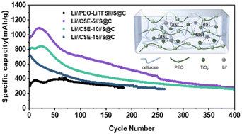 Graphical abstract: Sandwich-structured PEO-based composite solid-state electrolytes for lithium–sulfur batteries