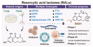 Graphical abstract: The chemical and biological properties of natural resorcylic acid lactones