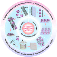 Graphical abstract: Recent research progress in polyoxometalate-based composite materials applied to electrochemical biosensors for biomolecule detection