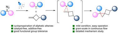 Graphical abstract: Photoinduced synthesis of functionalized spiro[2.3]hexane via an additive-free approach
