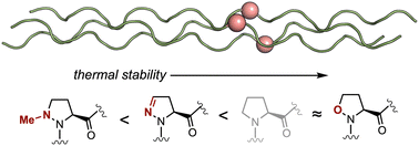 Graphical abstract: Synthesis and stability of collagen mimetic peptides featuring δ-heteroatom-substituted prolines