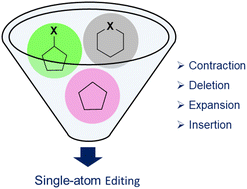 Graphical abstract: Single-atom molecular editing: transformative advances in carbocyclic and heterocyclic frameworks