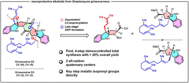 Graphical abstract: Total synthesis of (−)-griseocazine D2 and D3