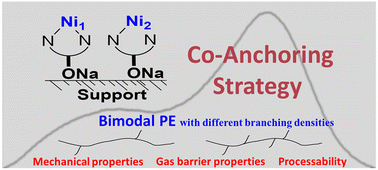 Graphical abstract: Preparation of bimodal polyethylene with different branching densities by a co-anchoring strategy