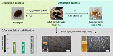 Graphical abstract: Alkali lignin stabilization of oil-in-water emulsions via simple dispersion and ozonation processes