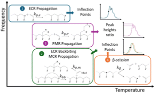 Graphical abstract: Pulsed laser polymerization to retrieve kinetic parameters for a propagated mid-chain radical in poly(n-butyl acrylate) synthesis: a combined DFT and kinetic Monte Carlo study