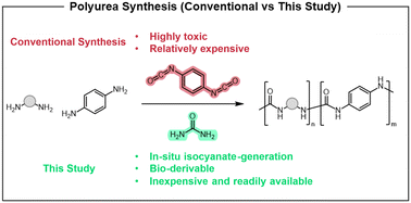 Graphical abstract: Urea as a monomer: synthesis and characterization of semi-aromatic thermoplastic non-isocyanate polyureas
