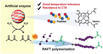 Graphical abstract: A catalytic peptide/hemin complex as an artificial enzyme for RAFT polymerization