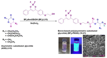 Graphical abstract: Boron-based poly(asymmetric substituted glycolide) nanospheres