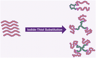 Graphical abstract: Rapid and versatile polymer–polymer coupling via iodide–thiol substitution click chemistry