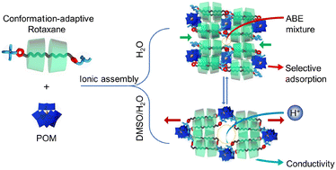 Graphical abstract: Nanocluster-regulated porous ionic rotaxane assemblies with solvent-adaptability for selective adsorption and conductivity