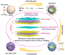 Graphical abstract: Carbon-intercalated MoS2 on hollow carbon spheres derived from yeast with Mo–C bonding for enhanced sodium storage