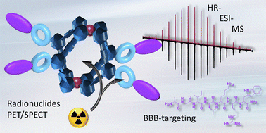 Graphical abstract: Design of porous self-assembled homoleptic and heteroleptic Pd2+ cages incorporating silicon-based fluoride acceptors: the way towards nuclear imaging applications