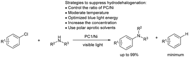 Graphical abstract: Suppressing hydrodechlorination in PC–Ni cocatalyzed C–N and C–O coupling reactions