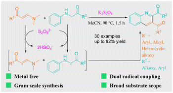 Graphical abstract: Cross-dehydrogenative radical coupling enabled by K2S2O8: efficient synthesis of 2,3-dicarbonyl quinolines from enaminones and glycine derivatives