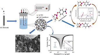 Graphical abstract: A sensitive and selective electrochemical detection and kinetic analysis of methyl parathion using Au nanoparticle-decorated rGO/CuO ternary nanocomposite