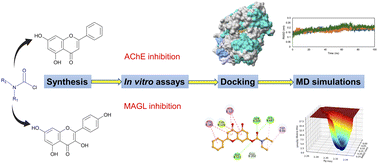 Graphical abstract: Flavonoid carbamate hybrids: design, synthesis, and evaluation as multi-target enzyme inhibitors for Alzheimer's disease