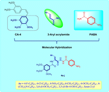 Graphical abstract: Design, synthesis and cytotoxic research of a novel antitumor model based on acrylamide–PABA analogs via β-tubulin inhibition
