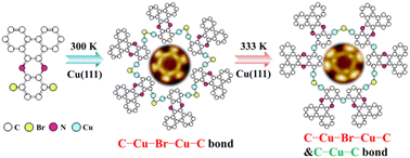 Graphical abstract: On-surface synthesis of organometallic nanorings linked by unconventional intermediates of the Ullmann reaction