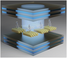 Graphical abstract: Polariton mediated electron transfer under the collective molecule–cavity coupling regime