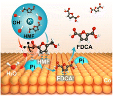 Graphical abstract: Brønsted bases promote interfacial proton transfer for enhanced biomass electrocatalysis
