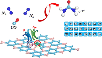 Graphical abstract: Designing high-performance catalysts for urea electrosynthesis: synergy between single atoms and BC3 monolayers
