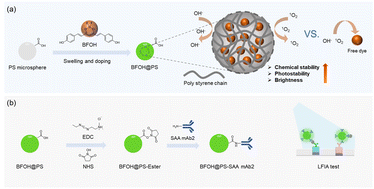 Graphical abstract: Bright and stable dye-doped fluorescent polystyrene microspheres: quantitative lateral flow immunoassay for detecting serum amyloid A