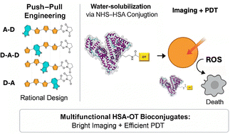 Graphical abstract: Oligothiophene-based photosensitizers with tunable push–pull architectures: design, synthesis and characterization