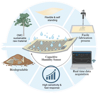 Graphical abstract: A highly sensitive, biodegradable capacitive humidity sensor with aerosol jet printed electrodes on a self-standing CMC film