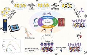 Graphical abstract: Rapid point-of-care detection of vitamin D deficiency using disposable electrochemical immunosensors based on a La2O3-WO3@CNT Bi-metal oxide nanocomposite