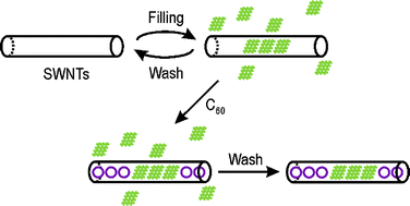 Graphical abstract: A simple method for the containment and purification of filled open-ended single wall carbon nanotubes using C60 molecules