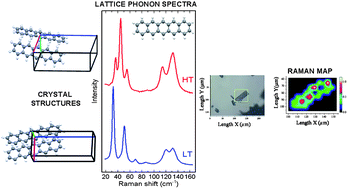 Graphical abstract: Probing polymorphs of organic semiconductors by lattice phonon Raman microscopy