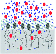 Graphical abstract: Experimental approaches to membrane thermodynamics