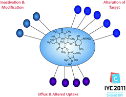 Graphical abstract: Molecular mechanisms of antibiotic resistance