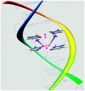 Graphical abstract: On the role of mercury in the non-covalent stabilisation of consecutive U–HgII–U metal-mediated nucleic acid base pairs: metallophilic attraction enters the world of nucleic acids