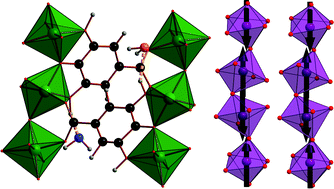 Graphical abstract: Detailed investigations of phase transitions and magnetic structure in Fe(iii), Mn(ii), Co(ii) and Ni(ii) 3,4,5-trihydroxybenzoate (gallate) dihydrates by neutron and X-ray diffraction