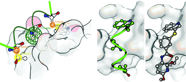 Graphical abstract: De novo design of small molecule inhibitors targeting the LEDGF/p75-HIV integrase interaction