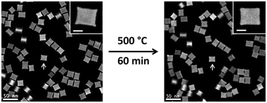 Graphical abstract: Enhanced shape stability of Pd–Rh core–frame nanocubes at elevated temperature: in situ heating transmission electron microscopy