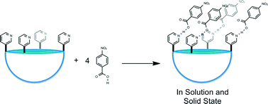Graphical abstract: Structure and thermodynamics of a multimeric cavitand assembly