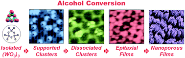 Graphical abstract: Dehydration, dehydrogenation, and condensation of alcohols on supported oxide catalysts based on cyclic (WO3)3 and (MoO3)3 clusters