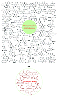 Graphical abstract: Molecular iodine-catalyzed multicomponent reactions: an efficient catalyst for organic synthesis